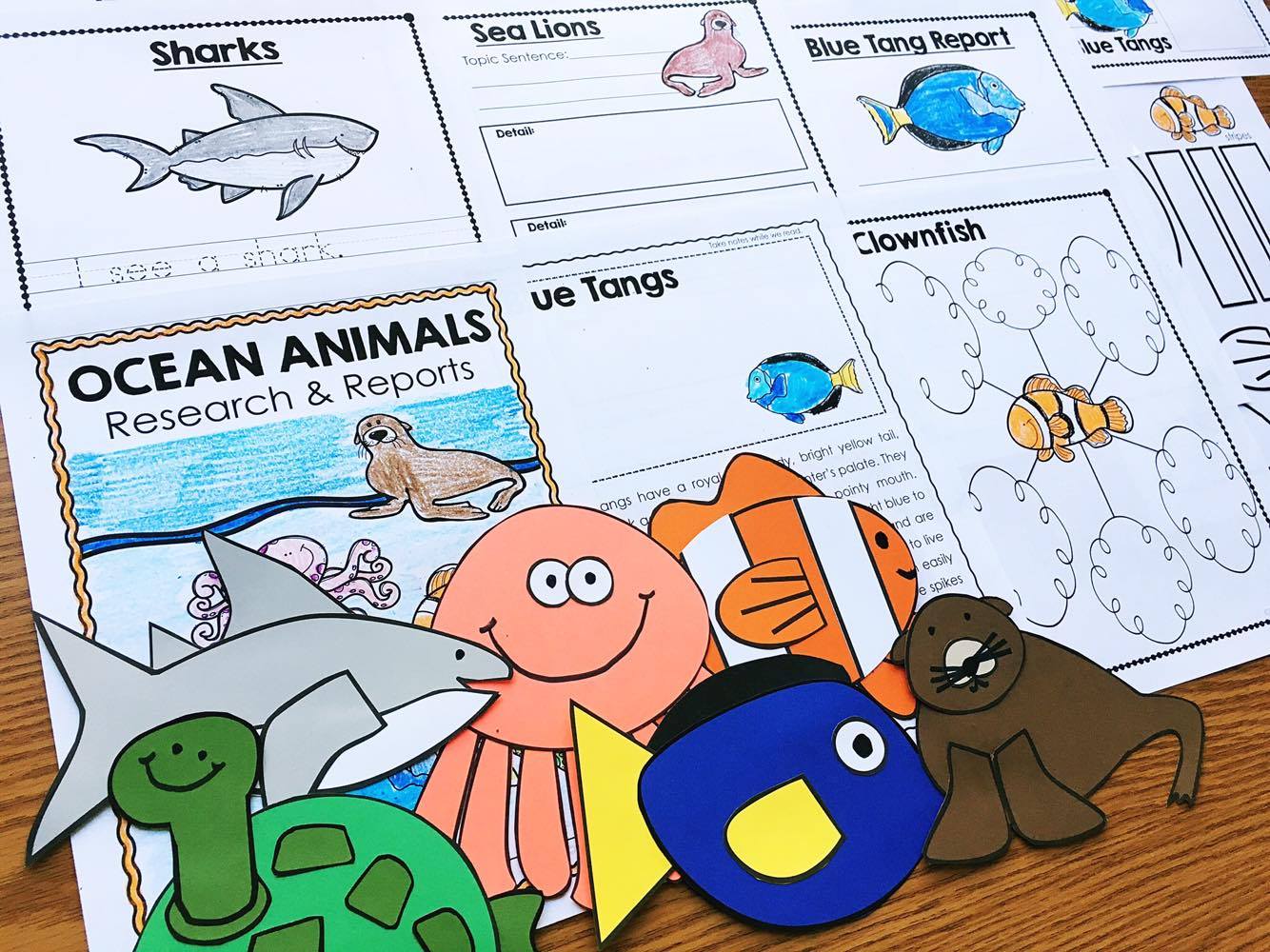 Ocean Animals Research Unit