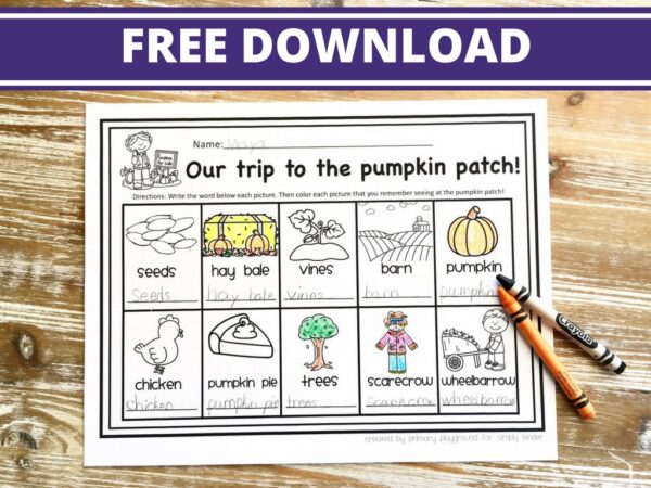 Pumpkin Patch Field Trip - Simply Kinder