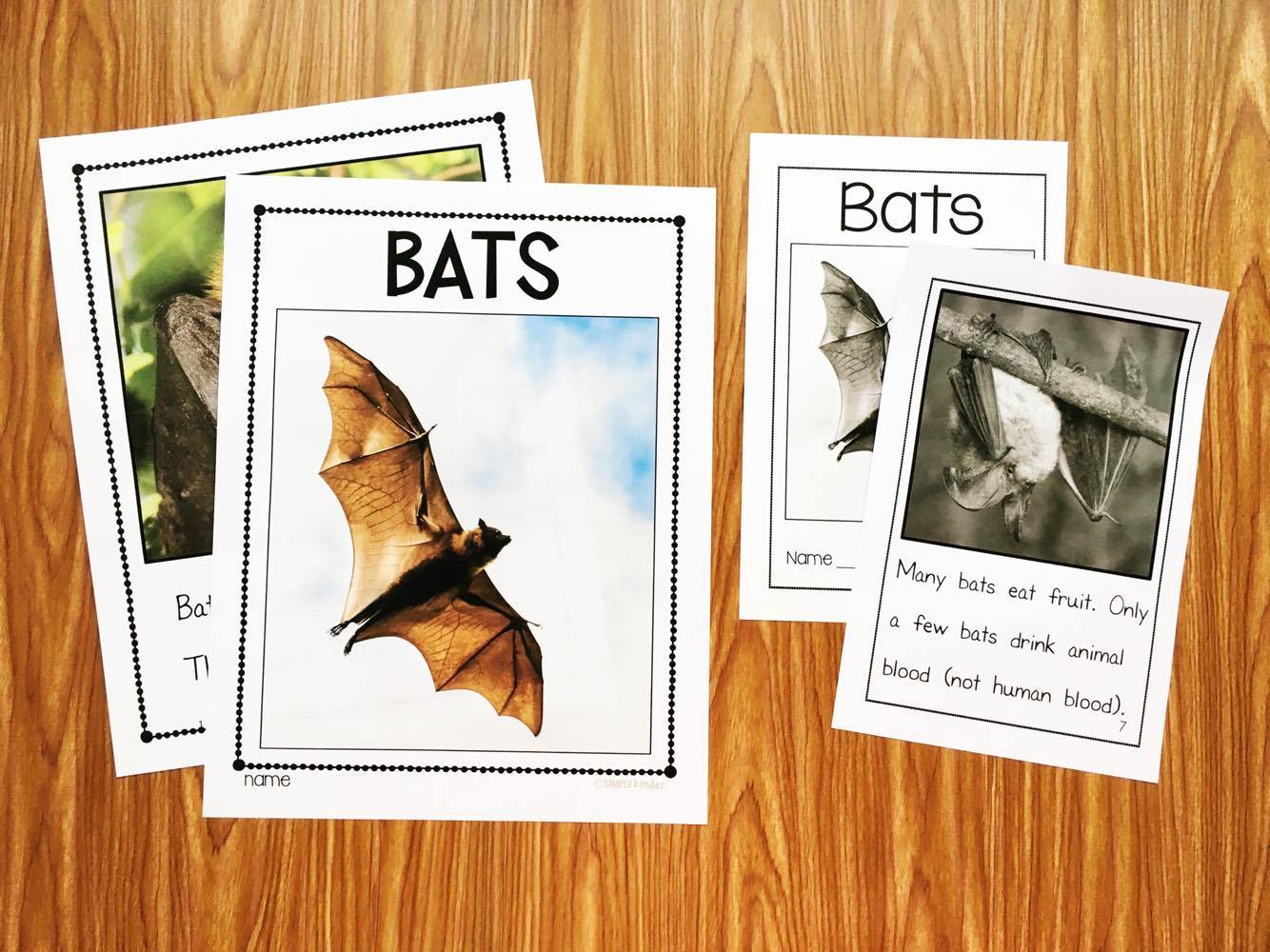 Bats Nonfiction Reader from Simply Kinder. This book uses real photos and easy text for the kids to understand. Perfect for preschool, kindergarten, and first grade.