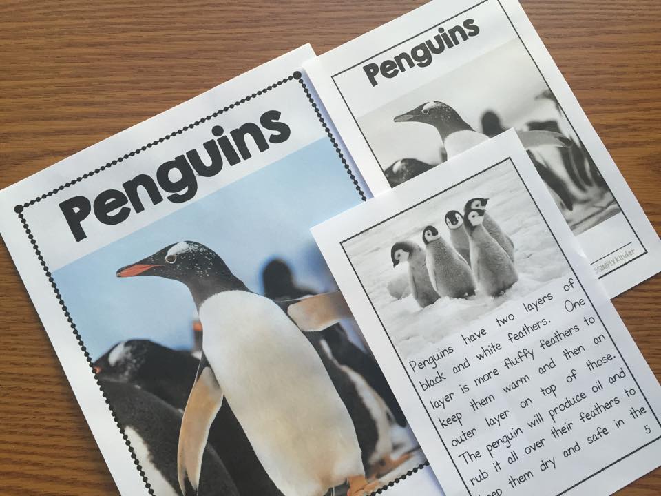 Penguin Nonfiction Book for Kindergarten and first grade. This book is filled with facts and real photos about penguins. Also includes lots of matching writing activities. 