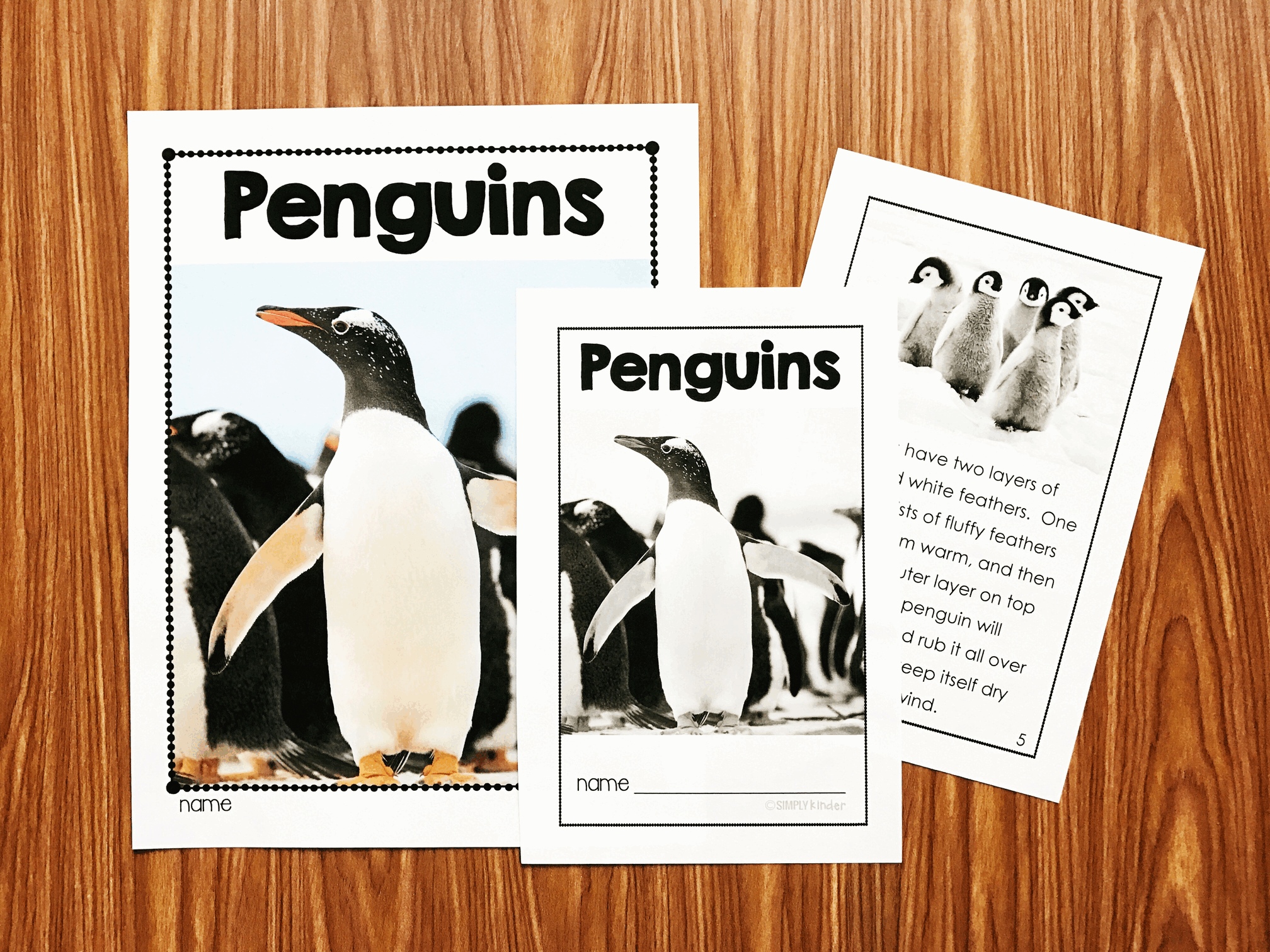 Nonfiction Penguin activities for Kindergarten, Preschool, and first grade students. 