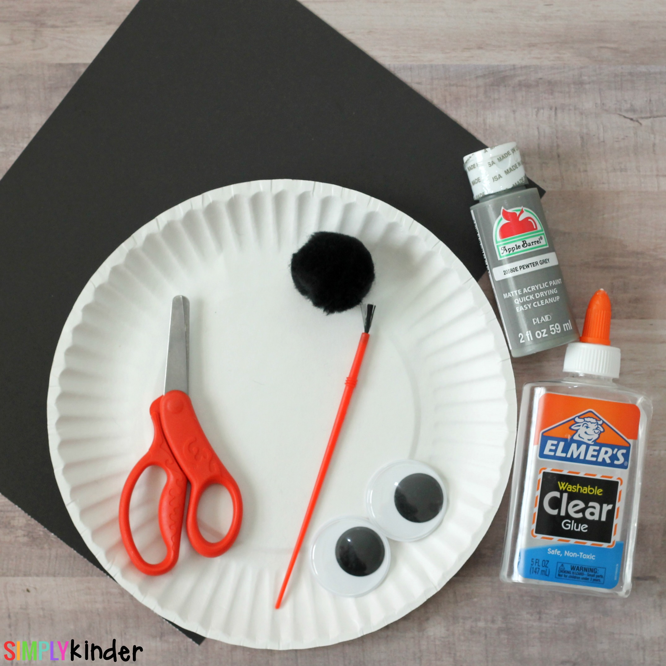 Chester the Raccoon Paper Plate Craft