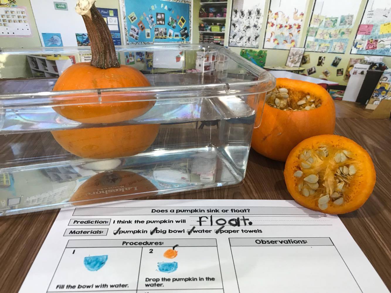 Pumpkin Science Activities for preschool, kindergarten, and first grades. Do these experiments that are easy to follow, fun, and full of science with your students from Simply Kinder.