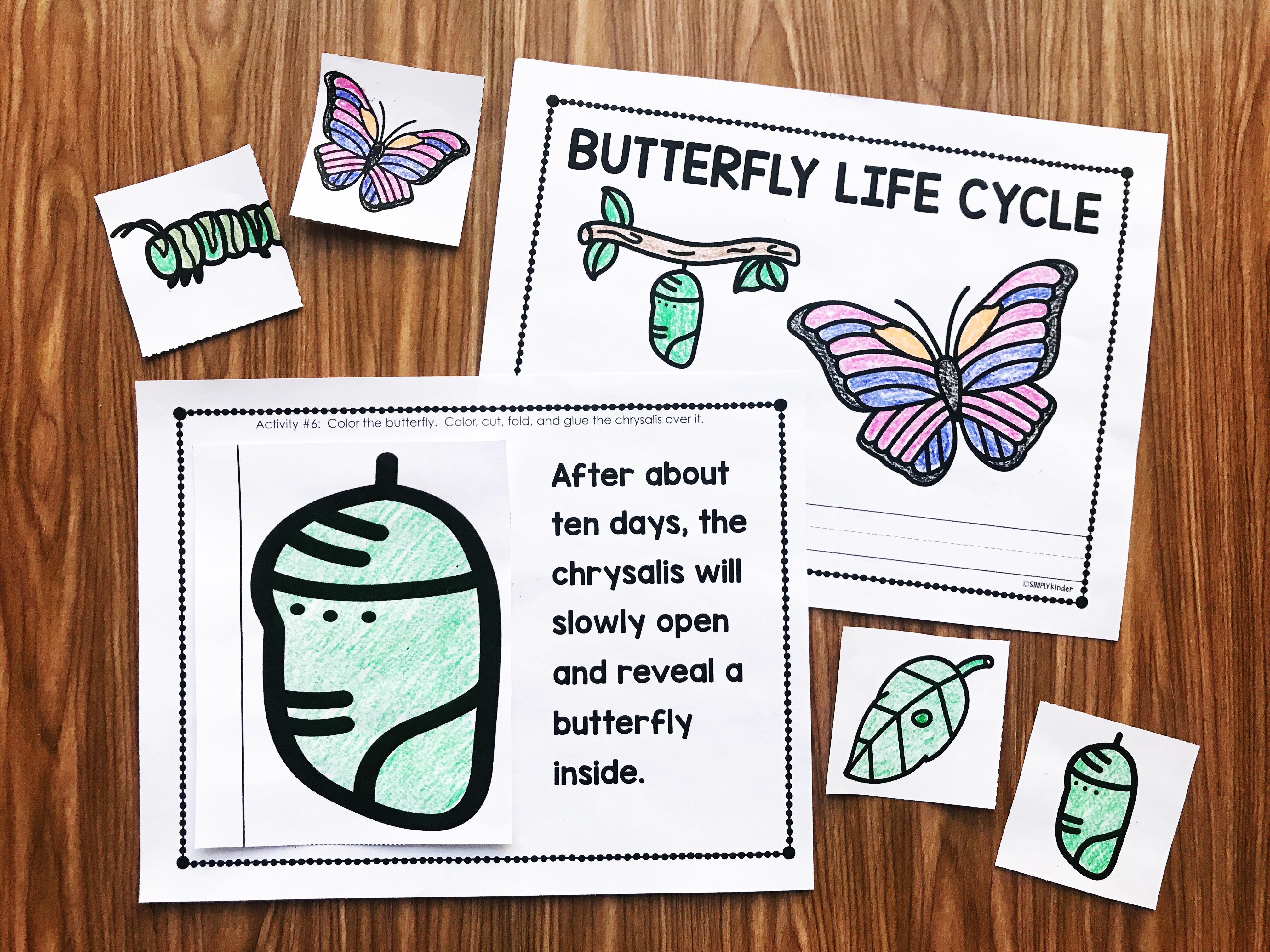 Your preschool, kindergarten, and first grade students will love this interactive Butterfly Life Cycle book from Simply Kinder.