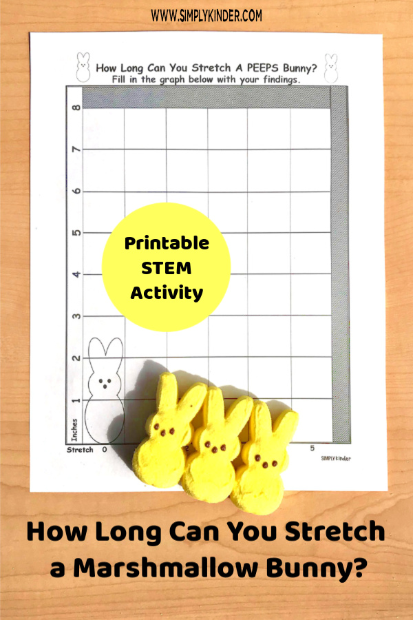 How long can you stretch a PEEP? PEEPS springSTEM activity for Kindergarten.