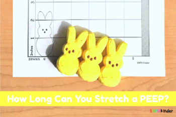 How long can you stretch a PEEP? PEEPS spring STEM activity for Kindergarten.