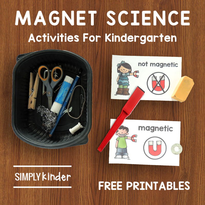 Exploring the Properties of Magnets
