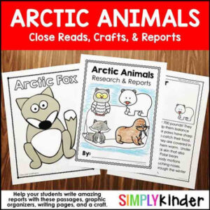 Arctic Animals Unit Kindergarten Research w/ Crafts, Close Reads, & Writing
