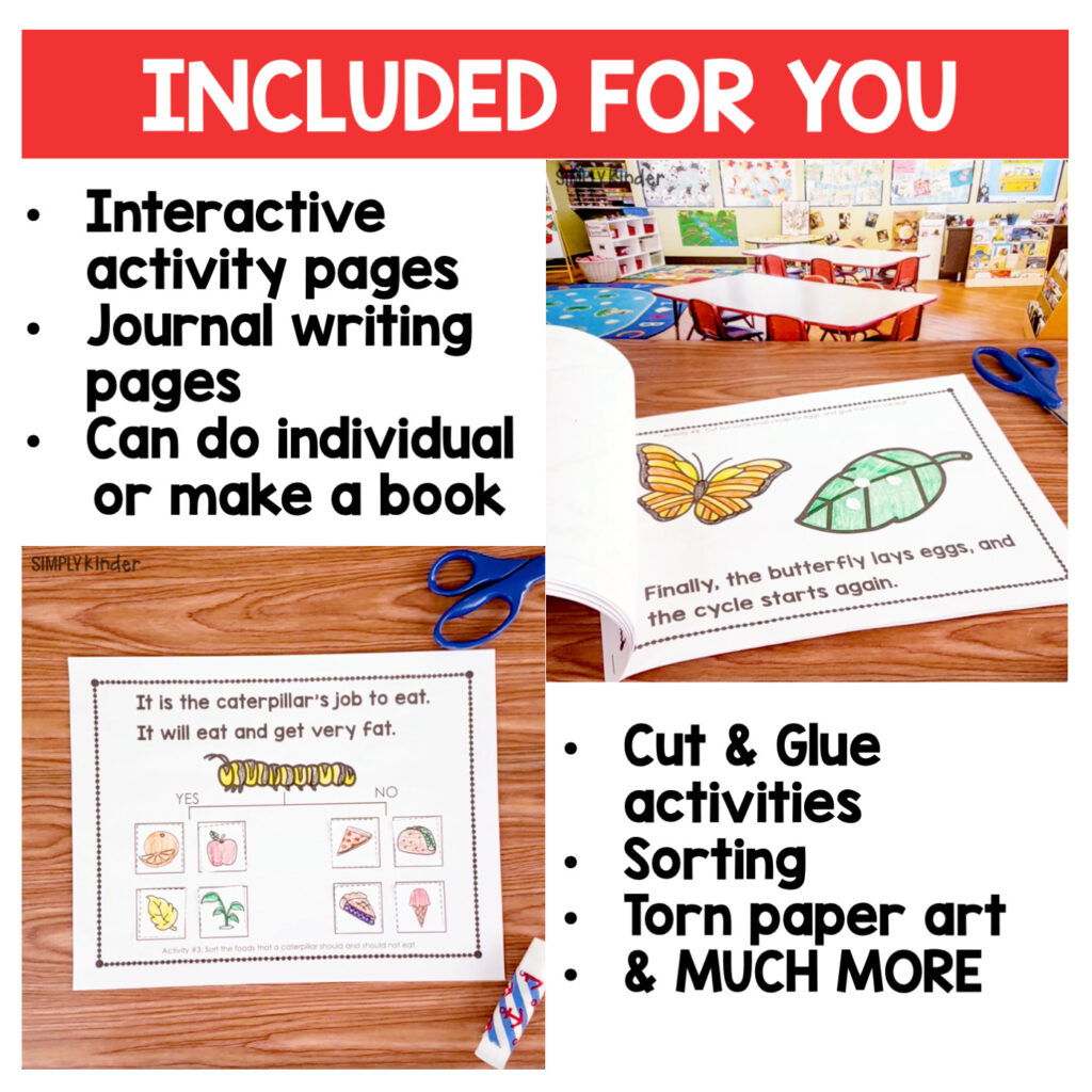 Butterfly Life Cycle Interactive Book for Kindergarten - Simply Kinder