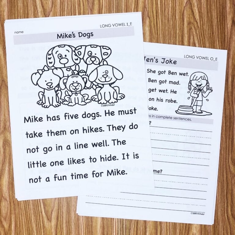 Fluency Passages, Decodable Passages, Reading Fluency & Comprehension Questions bundle preview