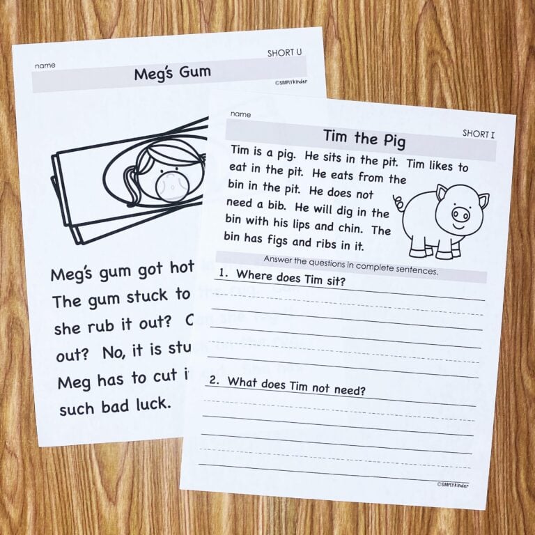 Fluency Passages, Decodable Passages, Reading Fluency & Comprehension Questions bundle preview