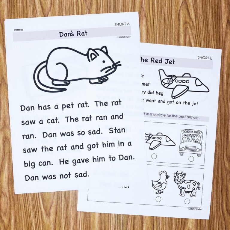 Fluency Passages, Decodable Passages, Reading Fluency & Comprehension Questions bundle preview