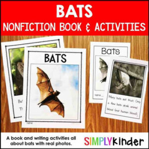 Bats Kindergarten Book and Activities