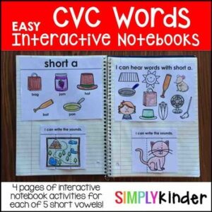 CVC Interactive Notebook