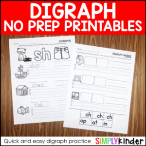 Digraph No Prep Printables