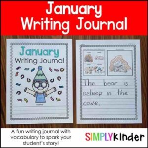 January Writing Journals