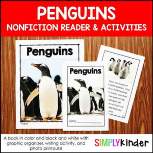 Penguin Nonfiction Book with Real Pictures and Activities for Kindergarten