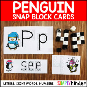 Penguin Snap Block Center - Letters, Numbers, and Sight Words