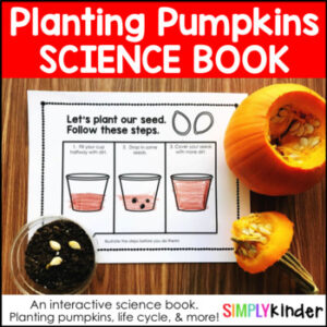 Pumpkin Life Cycle - Planting Pumpkins