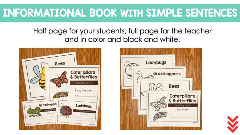 Insect & Bugs Nonfiction Readers & Comprehension Activities for ...