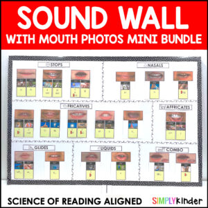 [BUNDLE SALE] Sound Wall with Mouth Photos