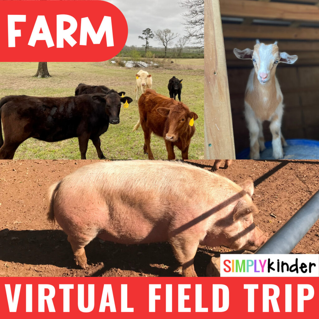 virtual field trip to learn about animals, farmers, barns, and more! Perfect for preschool, kindergarten, and first grade. 