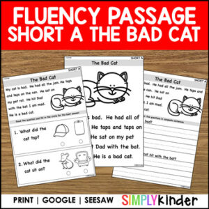 Kindergarten Fluency Practice with Comprehension Activities - Short A - The Bad Cat
