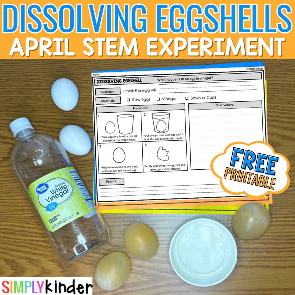 This Dissolving Eggshells Experiment is perfect for Spring! Your students will be amazed by this chemical reaction!