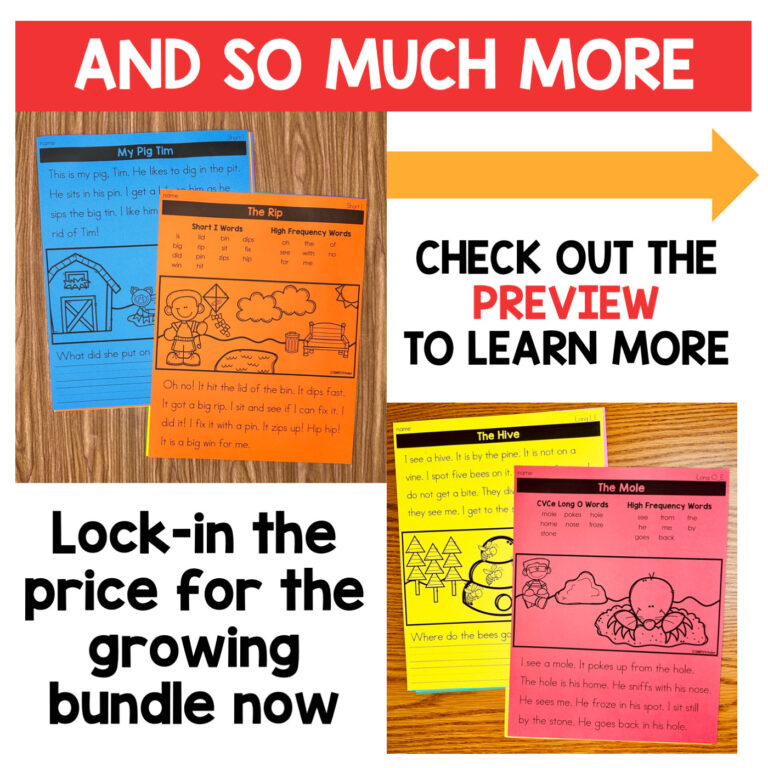 Quick Decodable Reading Fluency Passages & Comprehension, Science of Reading bundle preview