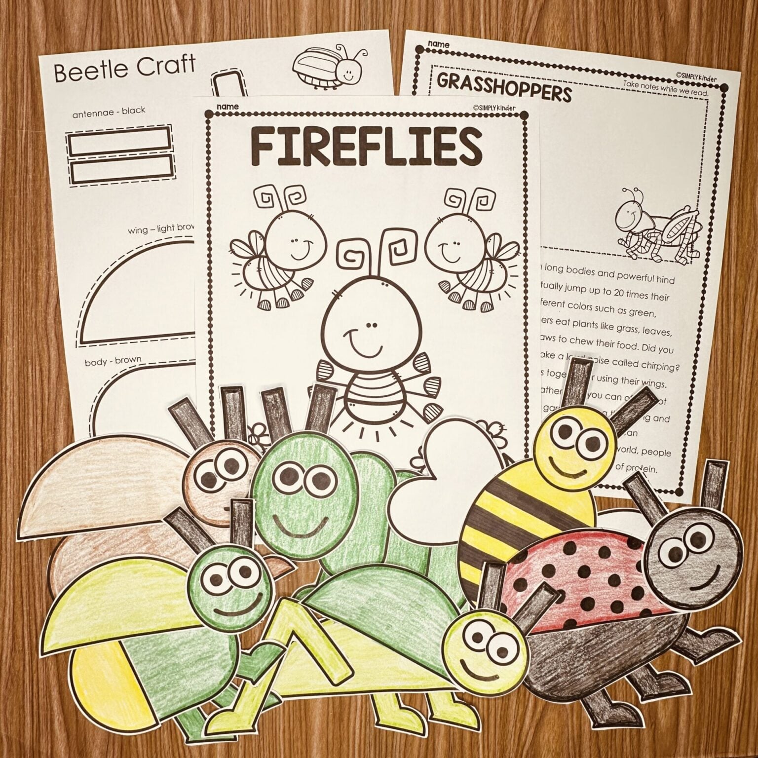 Insect Bugs Videos For Kids Simply Kinder